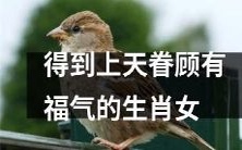 生肖女得天独厚,因获得上天眷顾而拥有福分加倍!