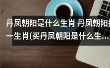 买丹凤朝阳是哪个生肖?谁能告诉我丹凤朝阳代表哪个生肖?