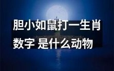 什么动物胆小如鼠,对应于生肖数字的谜题?