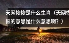 什么生肖符合天网恢恢的内涵及含义?