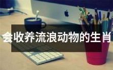 十二生肖中,哪些生肖可能会选择收养流浪动物呢?