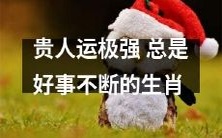 具有源源不断好运的繁荣昌盛生肖——贵人运旺盛之人