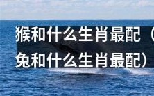 猴与哪些生肖最佳搭配,兔应搭配哪些生肖?