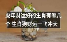 哪些生肖在虎年会有荣耀的财运,而其中包括生肖狗,其财运将一飞冲天?