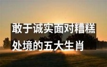 勇于直面逆境的五个生肖,坦诚面对困境并从中成长