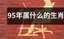 哪些属于95年生人的生肖呢?