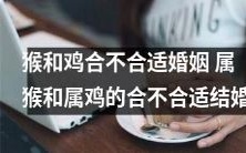 根据生肖命理学,属猴和属鸡是否适合结婚?猴和鸡的婚姻匹配度如何?