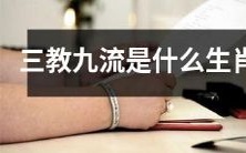 什么生肖属于三教九流的范畴?