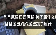 如果父母都属鼠,那么他们的孩子应该属于哪个生肖呢?(If Both Parents Are Rats, Which Zodiac Sign Should Their Child Belong To?)