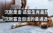 沉默是金?这些生肖虽然寡言无语,却过着最通透的生活!