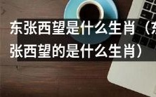 What Zodiac Animal Represents the Traits of Being Curious and Observant like ‘东张西望’?