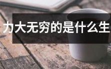 哪个生肖具有无限力量?