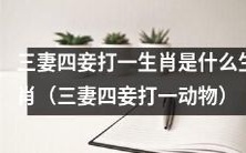 请问哪一种动物被称为“三妻四妾”?——寻找“三妻四妾打一生肖”