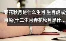 哪个属相是春花秋月?生肖虎还是生肖兔?(详解十二生肖中的春花秋月属相)
