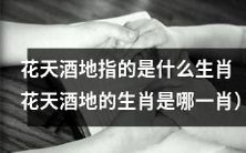 哪个生肖的代表词汇是花天酒地?