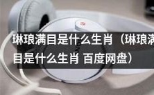 惊喜不断!探讨琳琅满目究竟是哪个生肖