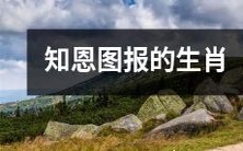 不忘初心,欲报恩德——以十二生肖为象征的感恩之道