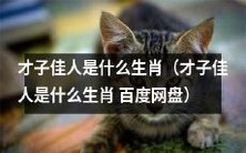 哪些生肖最有才子佳人气质?