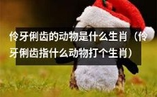 哪些生肖动物以其敏捷的口才著称?