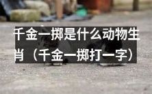 千金一掷打一字,究竟是哪个生肖?让我们一同揭秘这个谜团!