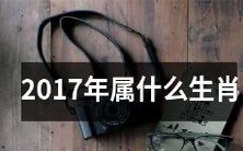 2017年的十二生肖中,哪一个正适合成为您的星座符号呢?