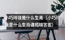 小身材高智商,究竟属于哪个生肖呢?让我们揭晓小巧玲珑的真实身份!
