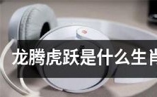 龙腾虎跃是哪些生肖所代表的动物?