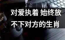 十二生肖中,哪些动物始终无法割舍对爱情的执着,无法放弃对另一半的纠缠?