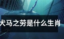 什么生肖对应着犬马之劳这个典故?