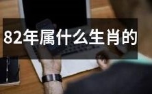 人?在中国的传统农历中,82年出生的人属于哪个生肖?