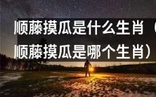 请问顺藤摸瓜这个俗语对应的是哪个生肖呢?