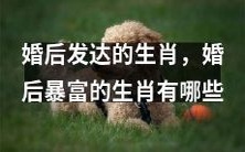 哪些生肖在婚后取得成功并暴富呢?哪些生肖婚姻带来了财富和发展?