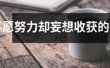 想要轻松收获却缺少付出的生肖人格特质