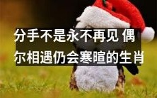 默默分手不代表永远遗忘,偶尔相遇时生肖们依旧能和平相处
