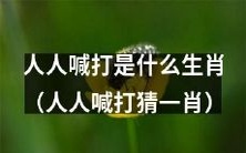 大家都在猜测“人人喊打”的是哪个生肖