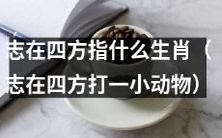 以四处旅行为目标的是哪一种生肖