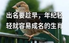 趁年轻成名最易,这些生肖更容易出名