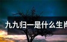 请问九九归一原本指代哪一个生肖呢?