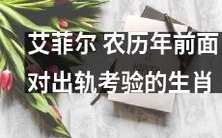 农历年前,艾菲尔生肖面临出轨考验:如何应对情感挑战?