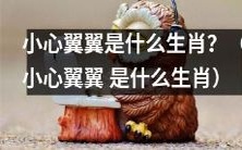 「关于‘小心翼翼’的生肖是什么?解答来了!」