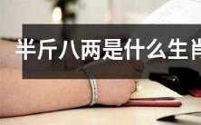 属于半斤八两这个称呼所代表的生肖是哪一个?