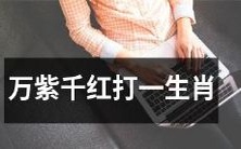 繁花似锦盛放一生肖