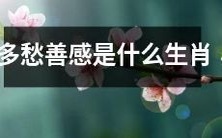 哪些生肖容易情感波动较频繁和敏感?