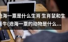 揭秘沧海一粟的生肖:到底是生肖鼠还是生肖牛?