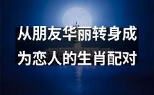 生肖朋友情升华为浪漫恋情:探究如何成功转型为恋人的配对策略
