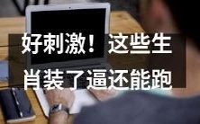 好刺激!这些被装逼的生肖居然还能奔跑起来