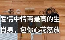 爱情中情商最高的生肖男,保证让你的心花怒放开!