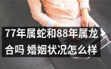 77年出生的蛇和88年出生的龙合适结婚吗?他们的婚姻状况如何?