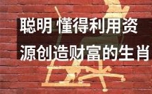 笃信资源创造财富之道的机智生肖