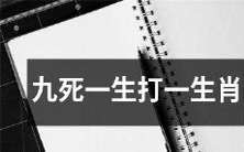 寻找命悬一线、虽经九死仍然存活的生肖之谜